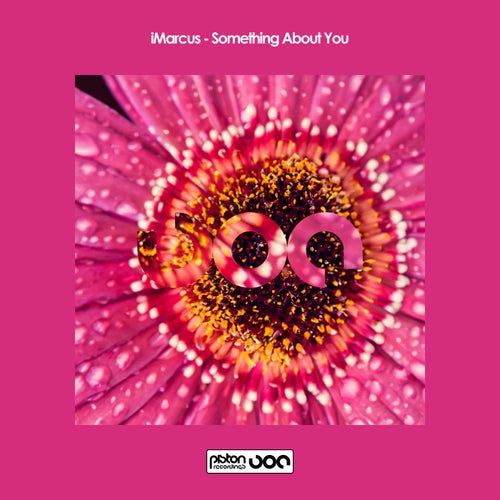 Miguel Palhares, iMarcus – Something About You [PR2024725]