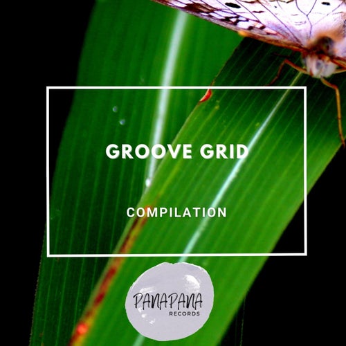 Andreas Mourer – Groove Grid [PNPN0135]