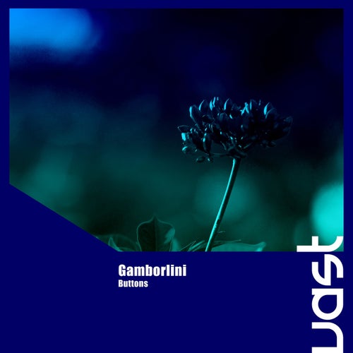 Gamborlini – Buttons [VAST312]