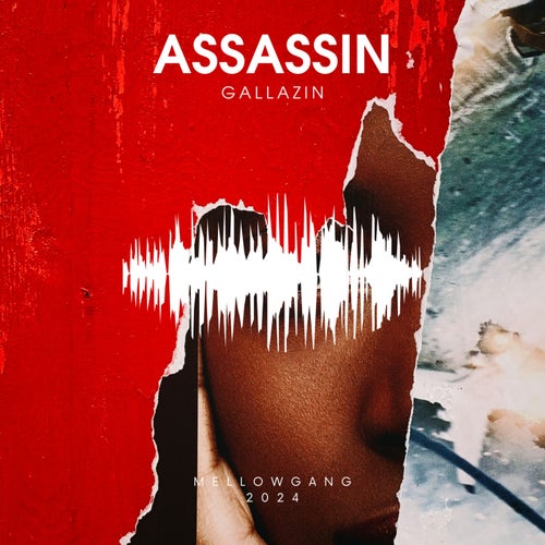 Gallazin – Assassin [MELG0287]