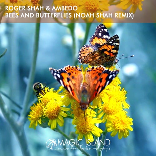 Noah Shah, Ambedo – Bees And Butterflies – Noah Shah Remix [MAGICDEEP075]