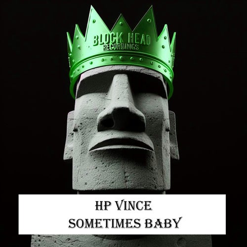HP Vince – Sometimes Baby (2024) [BHD379]