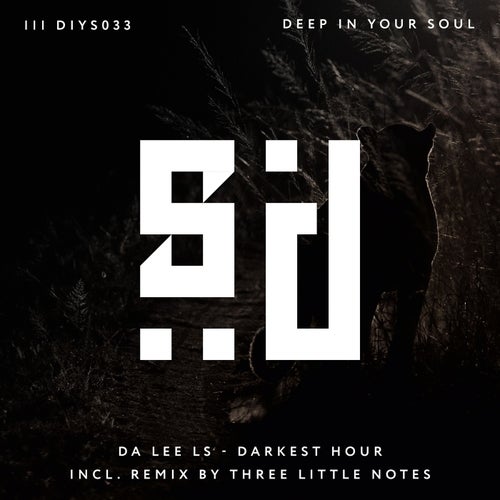 Three Little Notes, Da Lee LS – Darkest Hour [DIYS033]